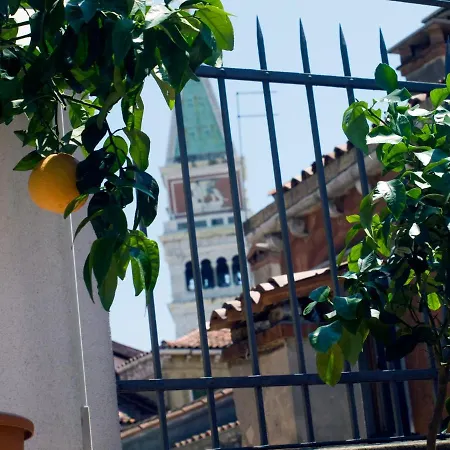 Apartamento - Grande Ed Elegante In San Marco